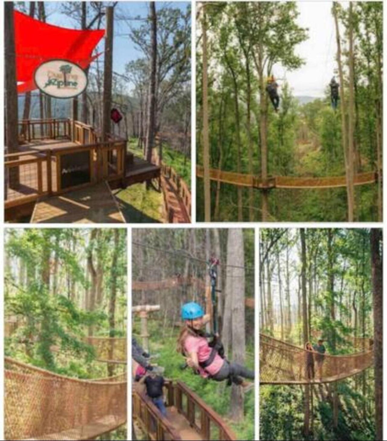 Luxurious Condo, Pool, Fireplace, Hiking 개틀린버그 외부 사진
